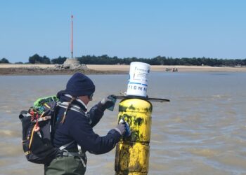 Des capteurs high-tech plongés dans la baie de Bourgneuf pour sauver l&rsquo;ostréiculture de demain